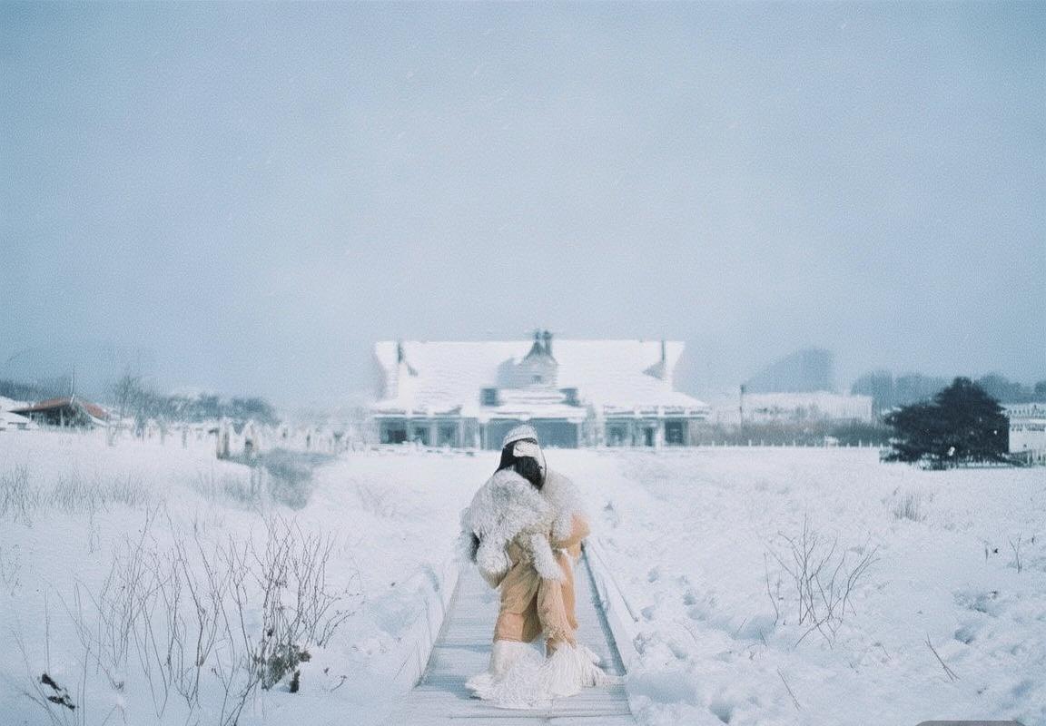 多特蒙德对利物浦欧联杯对决回顾与战术分析(图2)